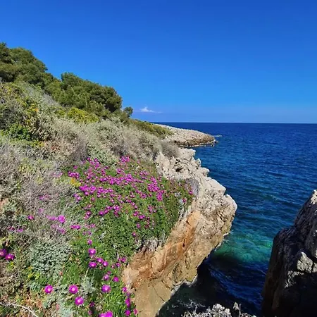 Casalionelantibes 70 Sqm With Garden And Parking Lägenhet