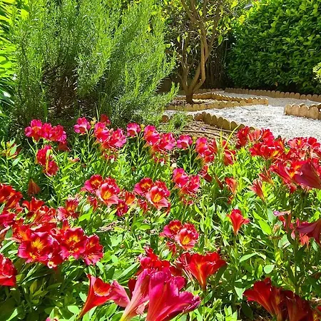 Apartamento Casalionelantibes 70 Sqm With Garden And Parking Antibes