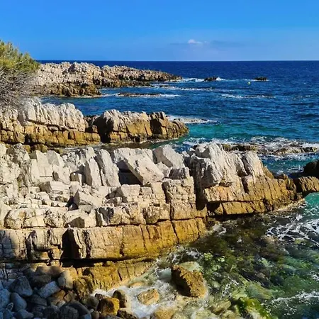 Casalionelantibes 70 Sqm With Garden And Parking Lägenhet Antibes